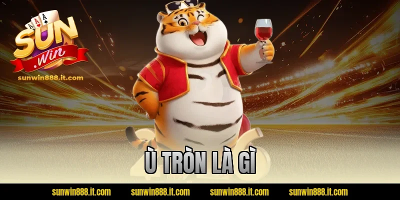 ù tròn là gì